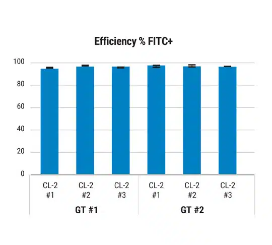 CL-2-Efficiency-%-FITC+@2x