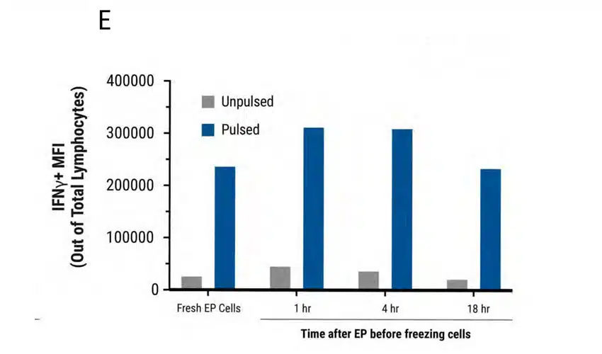 Efficienty-t-cell@fig-5d