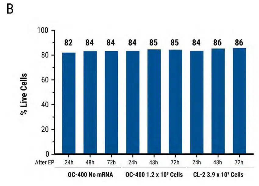 Scalable-Efficiency-B