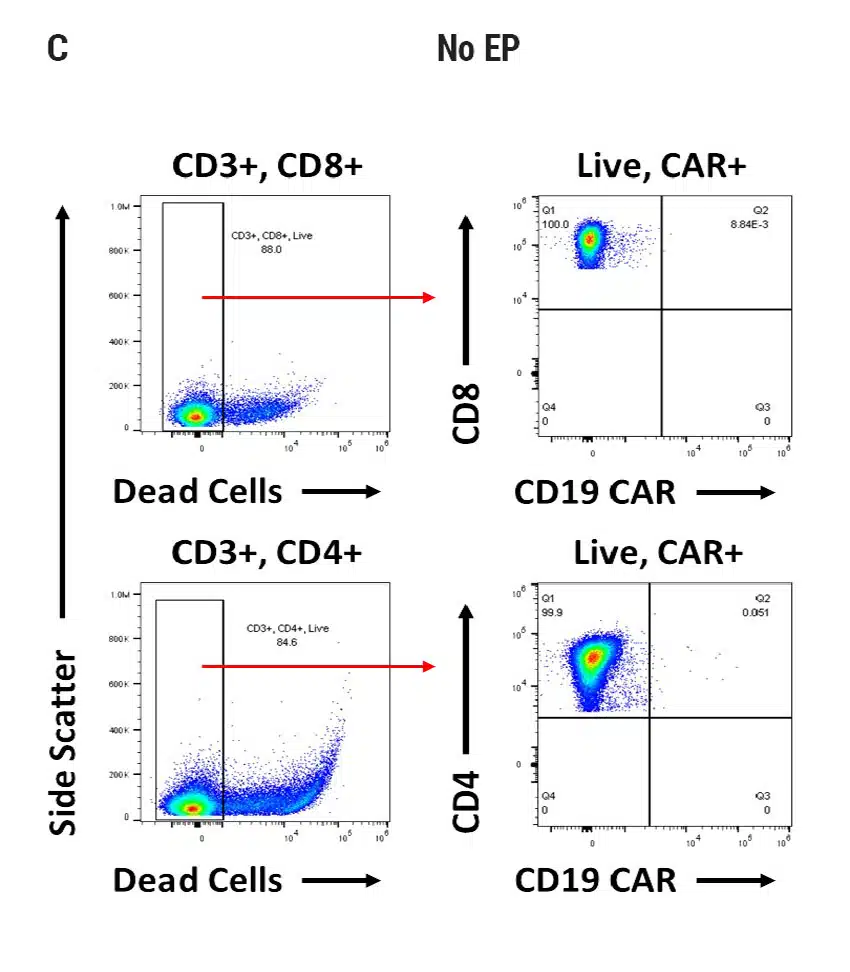 Tcell-C