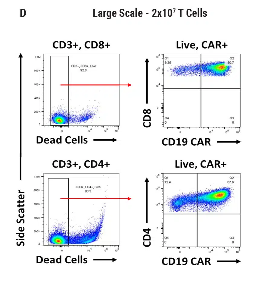 Tcell-D