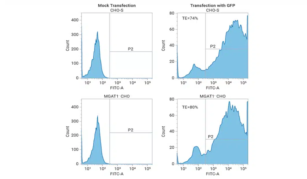 Transfection-efficienc-2@2x