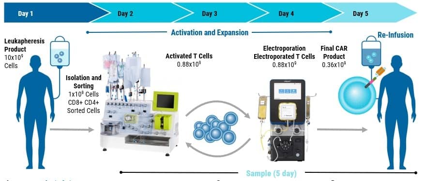 Electroporation of a Non-Integrative DNA Nanovector for Efficient, Semi-Automated, GMP Manufacturing of CAR T Cell Therapies-min