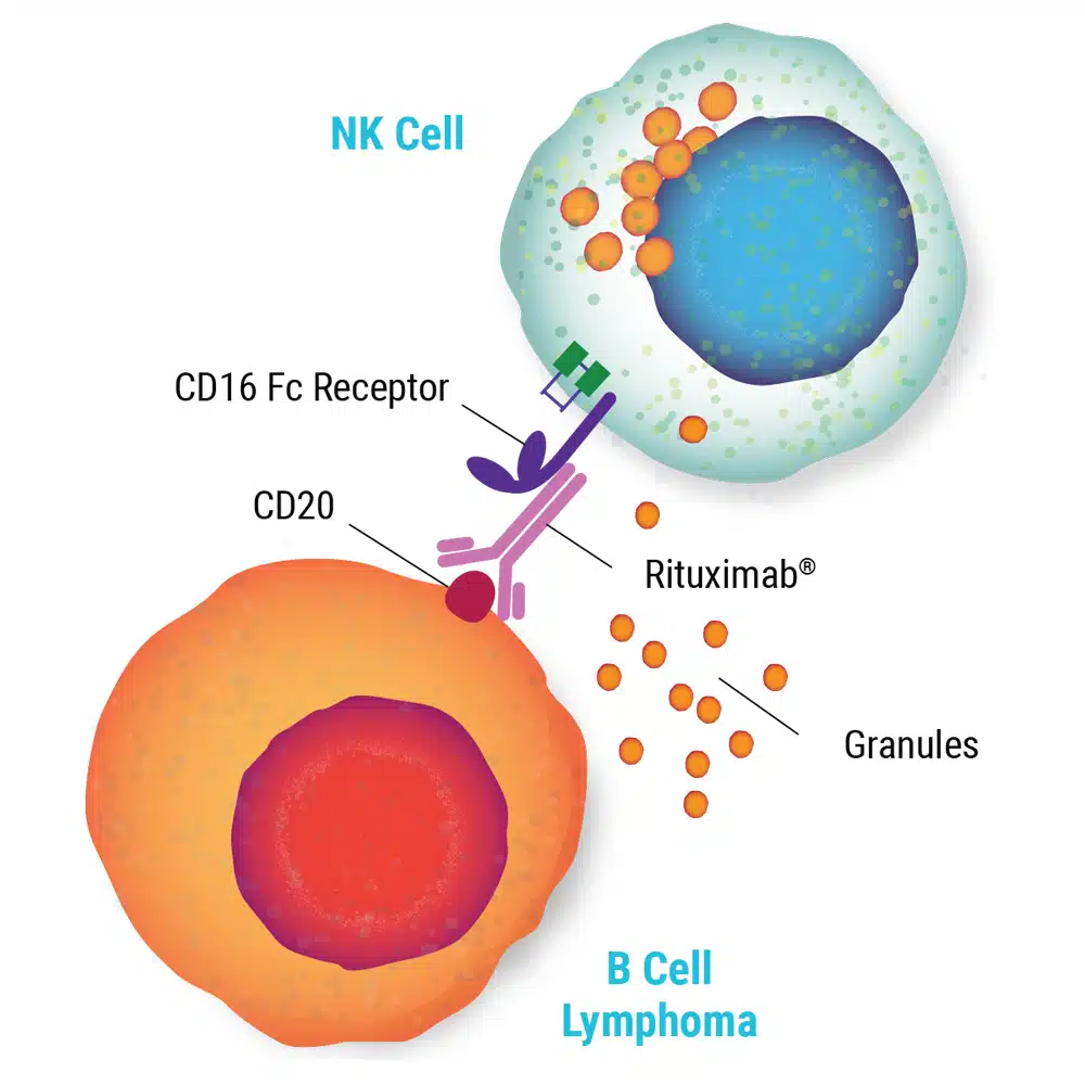 NK-Cell@2x