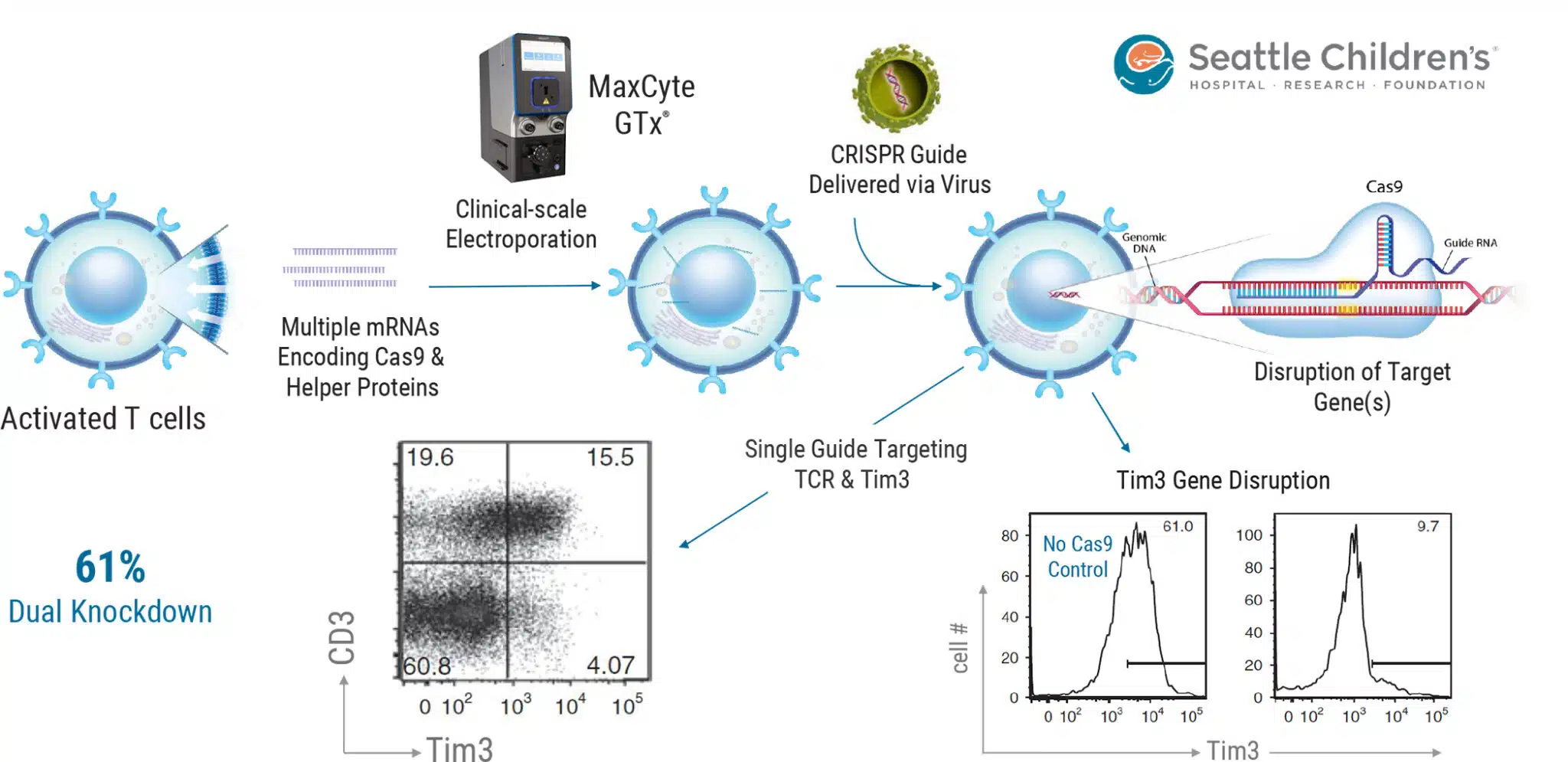 Multiplex CRISPR Cas9 for Improved Therapeutic Efficacy