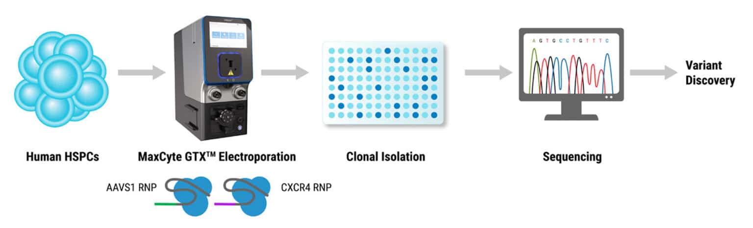 Off-target Effects of CRISPR-Cas9 Gene Editing in HSPCs