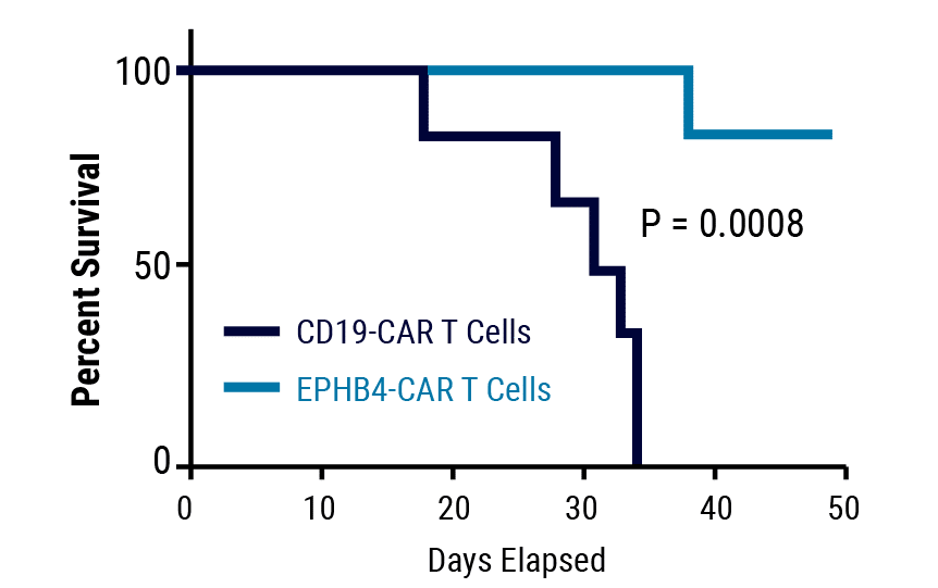 EPHB4-CAR T Cell Enhance Survival