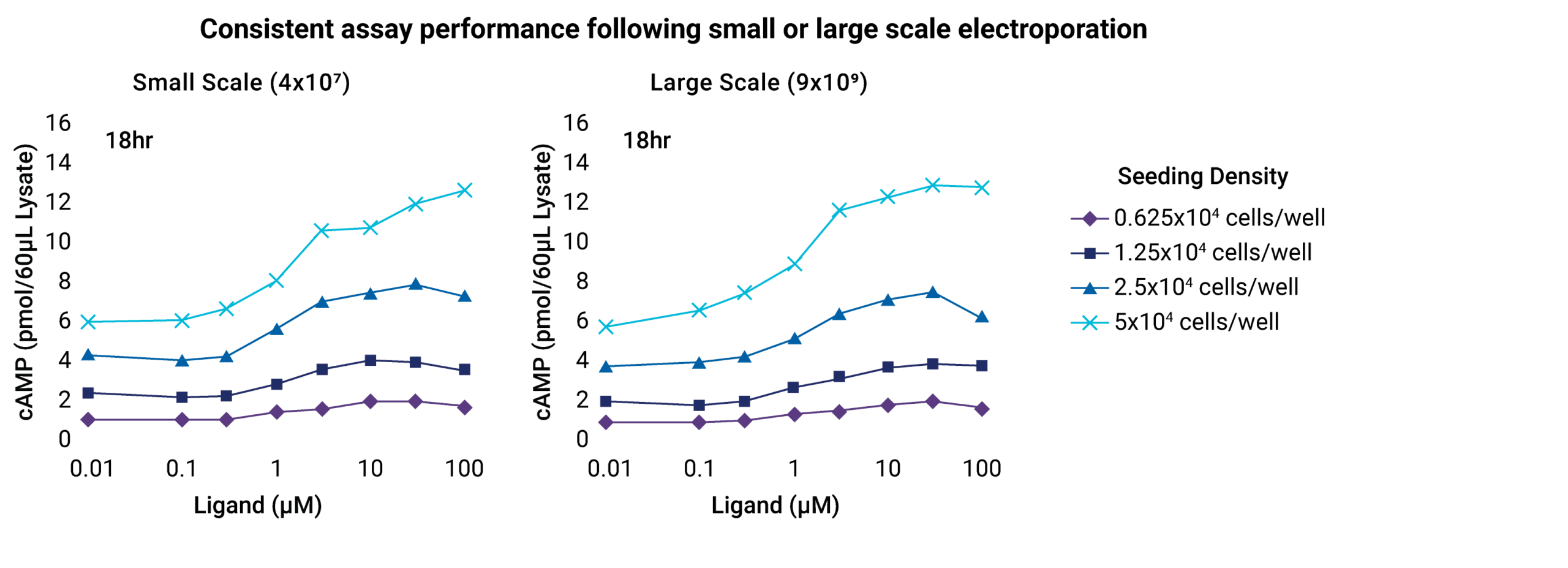 Consistent assay performance following small or large scale cell based assay