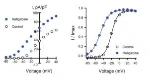 Two plots showing performance in HEK cells transfected at both small and large scale
