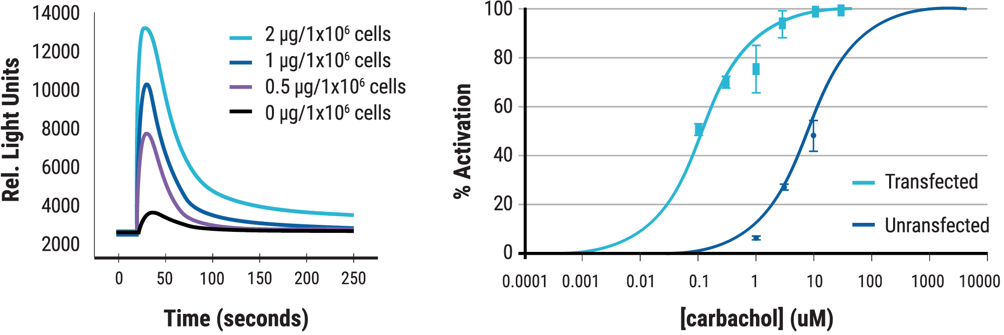 Rapid-Production-of-Assay-Ready-Cells-for-Drug-Discovery-Graph