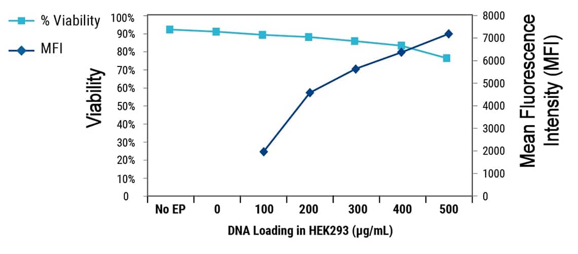 DNA-loading-in-HEK-1140X501