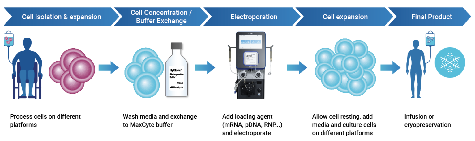 MaxCyte’s Flow Electroporation® technology integrates efficiently within a closed cGMP cell therapy workflow.