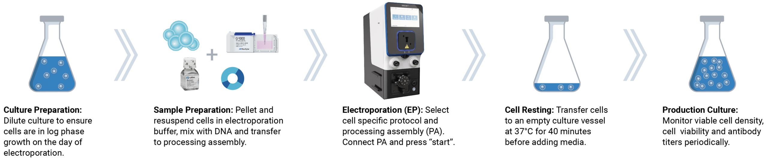A simple workflow to transfect any cell type for antibody production