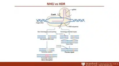 Slide from presentation of Advancements in cell therapy: development of a non-viral gene delivery platform for CAR-T manufacturing