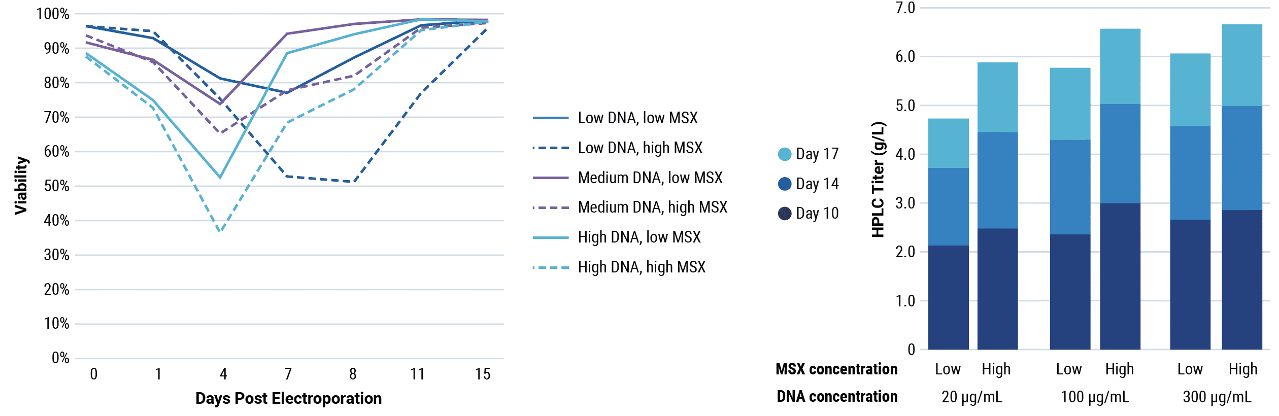 Bulk pools by transposasemediated transposon integration