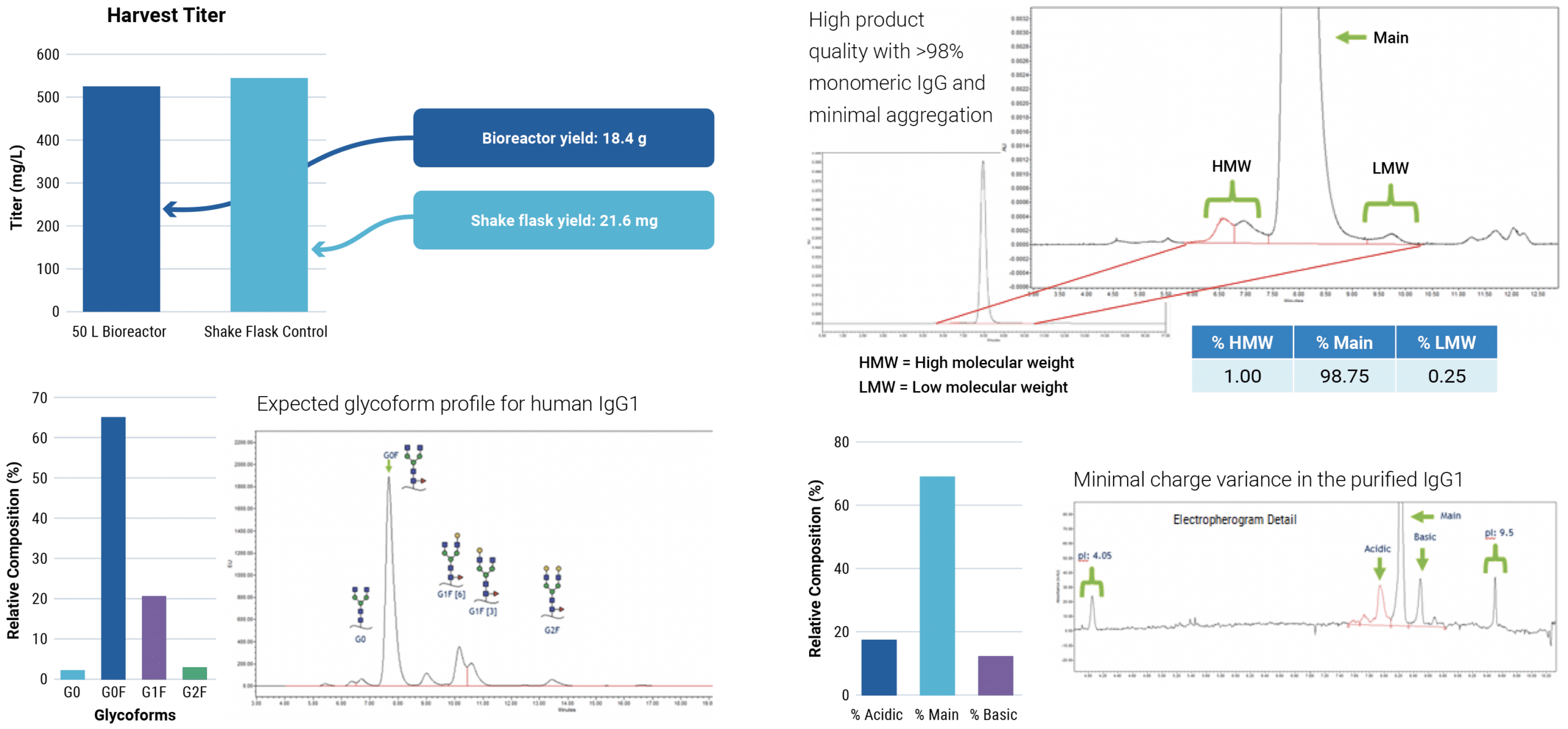 CHOZNTM cells were electroporated with a human IgG1 expression plasmid in a 1 mL or 1 L processing assembly on the ExPERT VLx