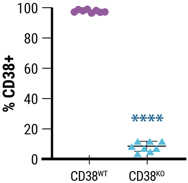 MaxCyte and Synthego Enable Reproducible Cell Engineering of Primary Human NK Cells B