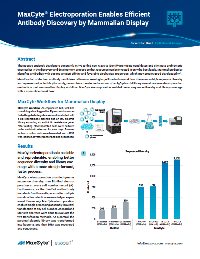 MaxCyte Electroporation Enables Efficient Antibody Discovery by Mammalian Display