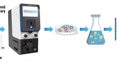 Illustration of MaxCyte workflow for mammalian display.