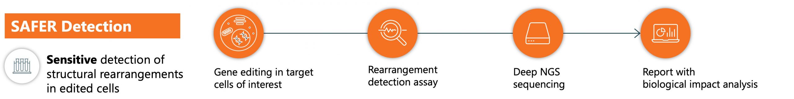 SDX-SAFER Detection Overview