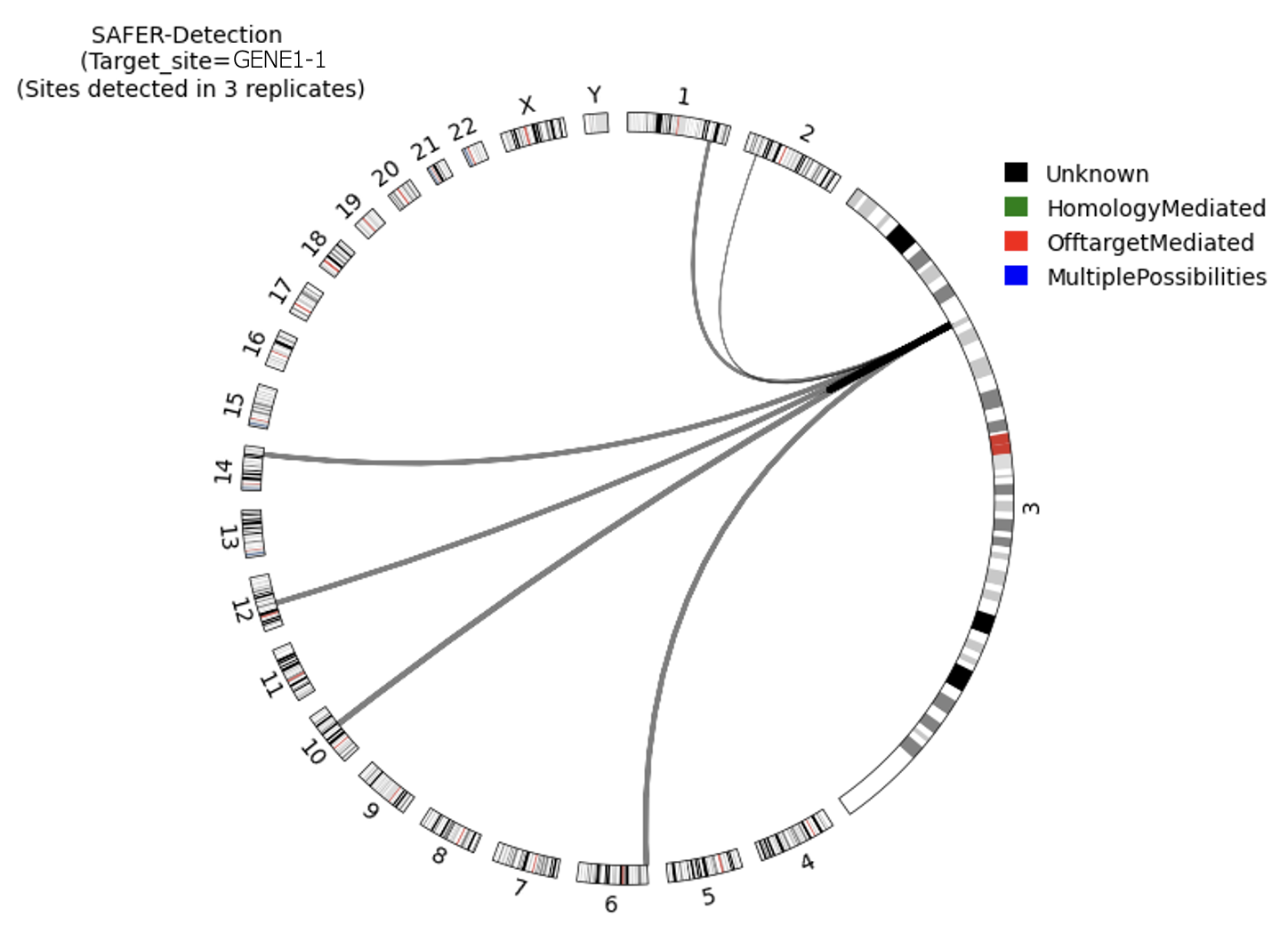 SDX-Safer detection report