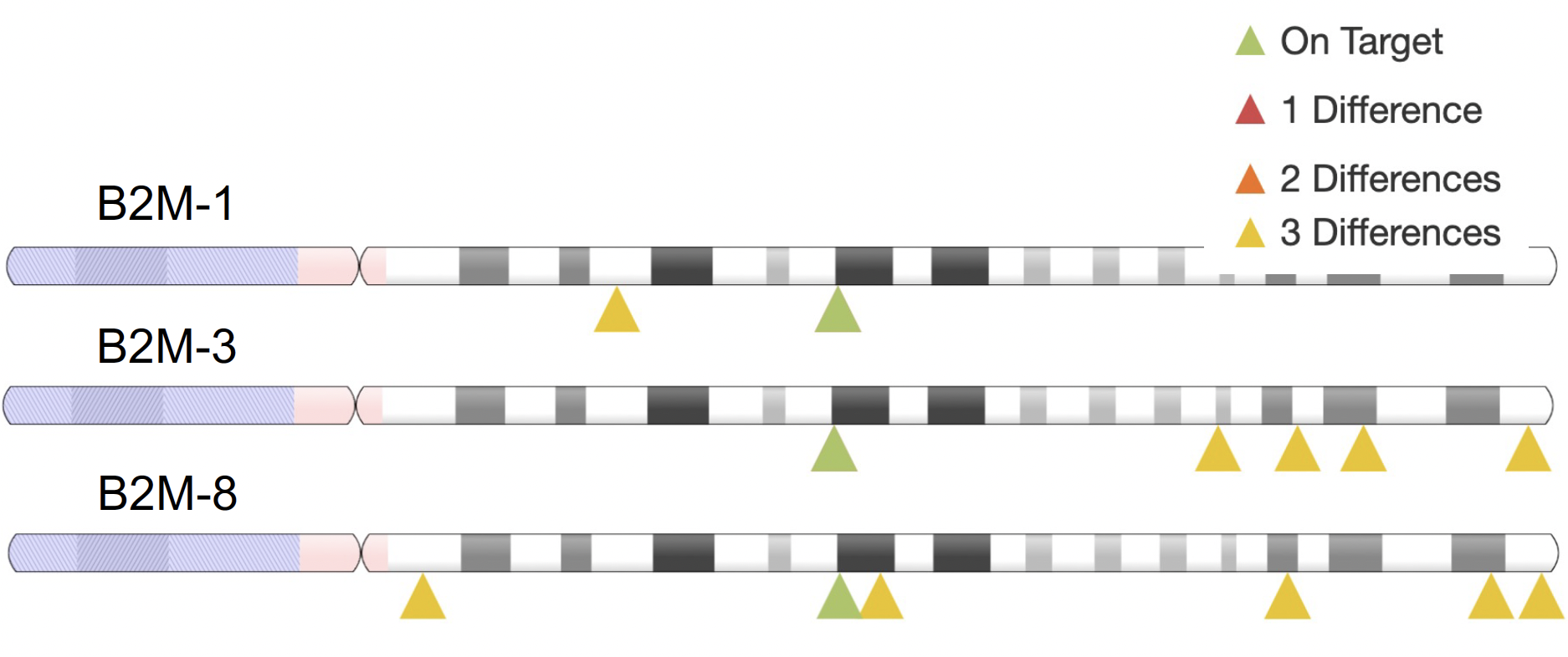 Proximity of off-target to on-target for B2M-2, 3, and 8. On and off targets are marked with triangles, green for on-target, and red, orange, and yellow 1, 2, and 3 differences respectively.