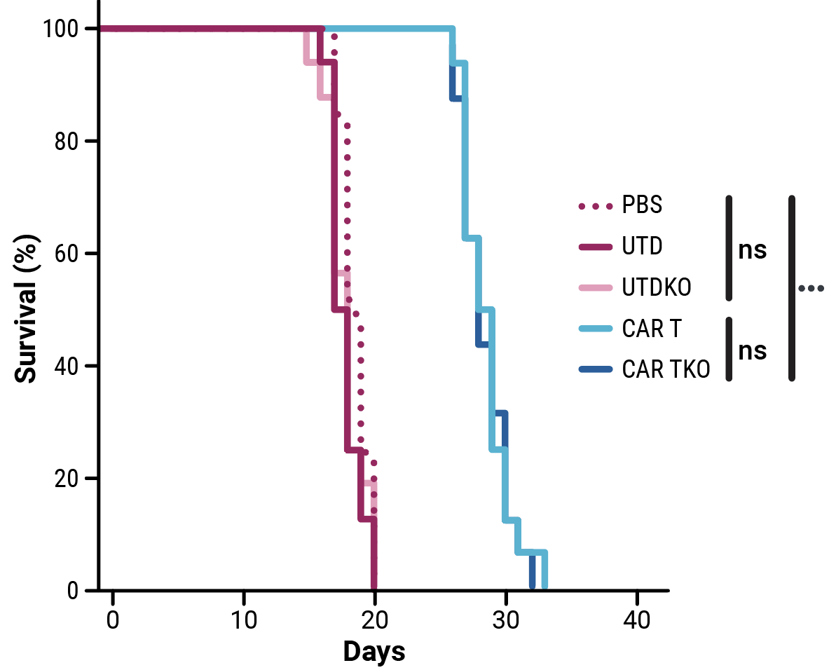 Functional-characterization-fig2-d