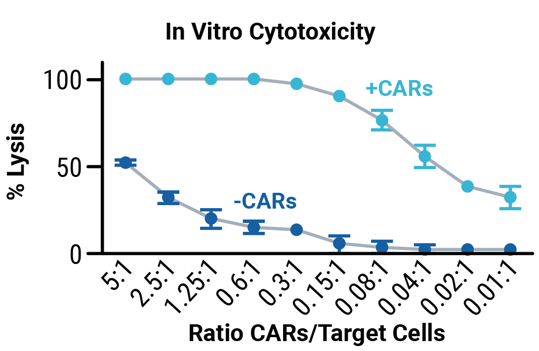 In-vitro cytotoxicity C