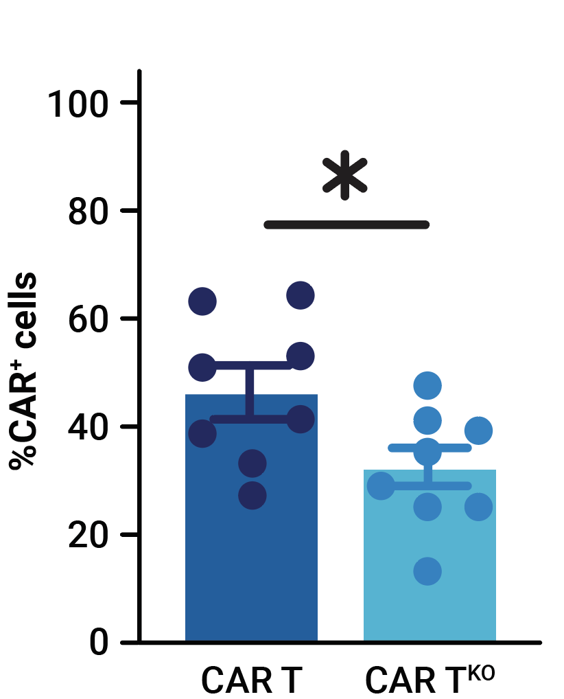 Phenotypic-characterization-fig1-a