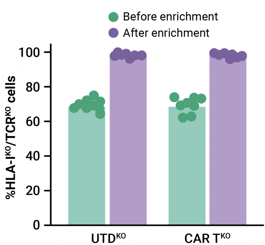 Development of Allogeneic CAR T Cells as a Potential Therapy for Acute ...