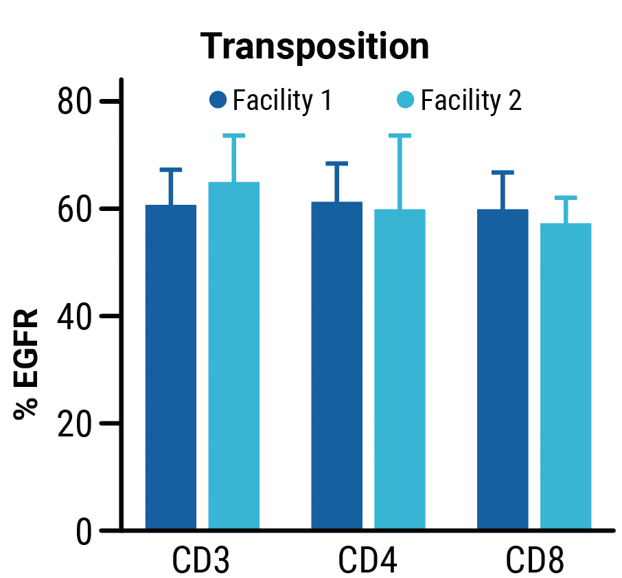 Transposition B