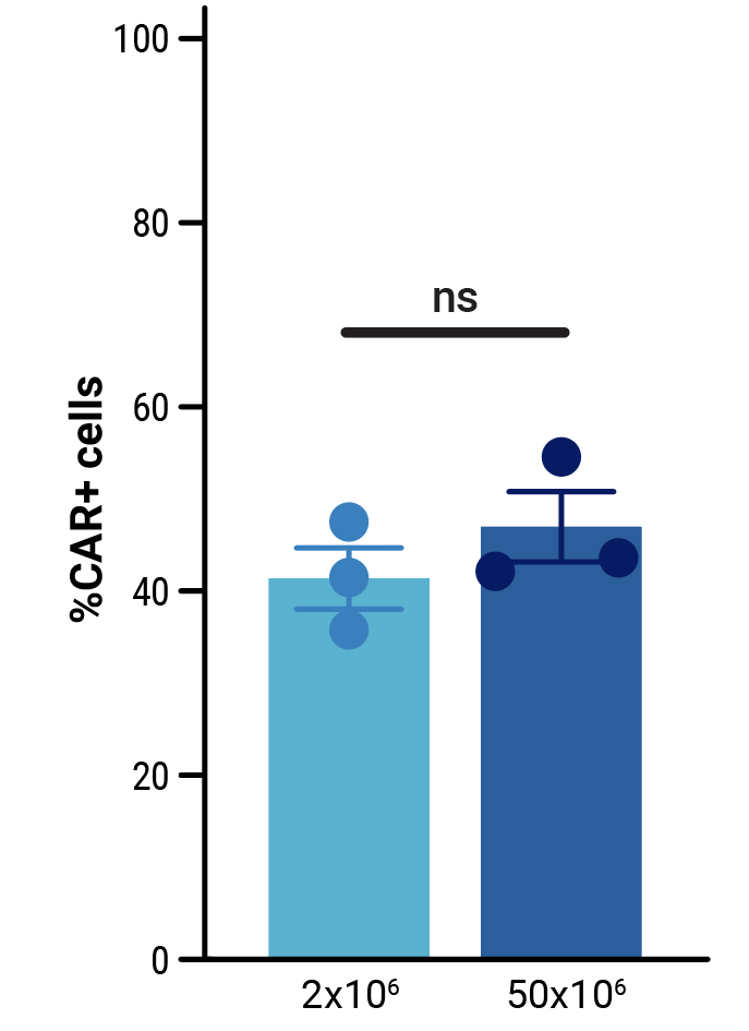 characterization-fig3-b