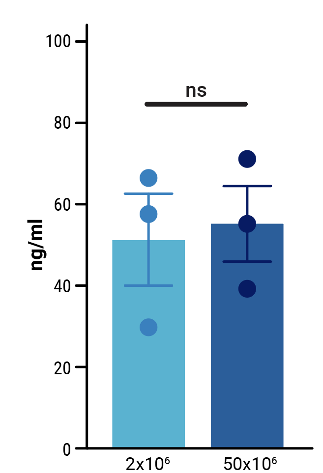 characterization-fig3-e