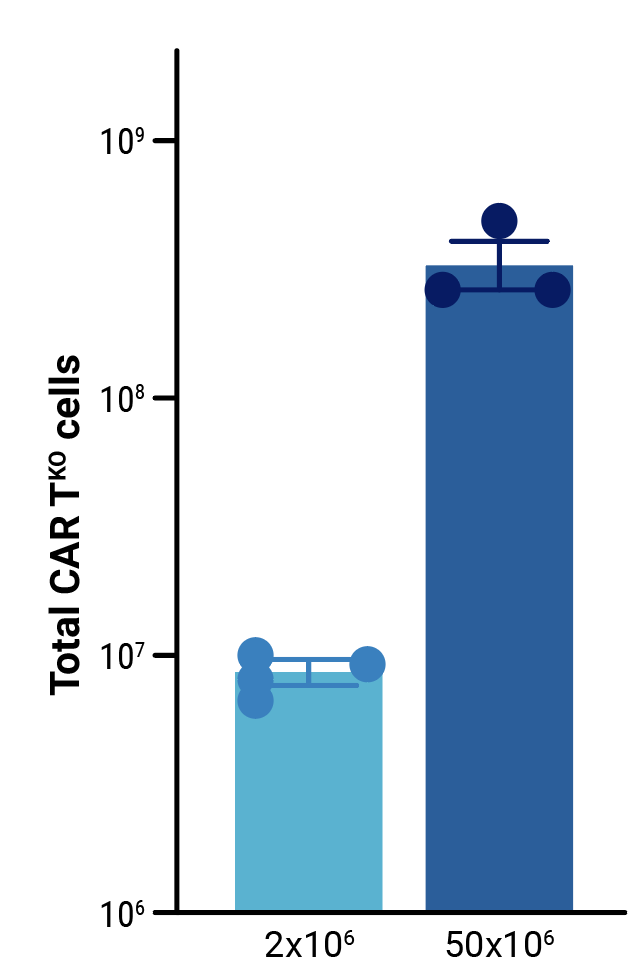 characterization-fig3-f