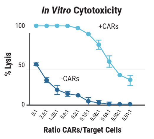 Maxcyte Cell Insect Efficient Immune Cell Engineering with Electroporation | MaxCyte