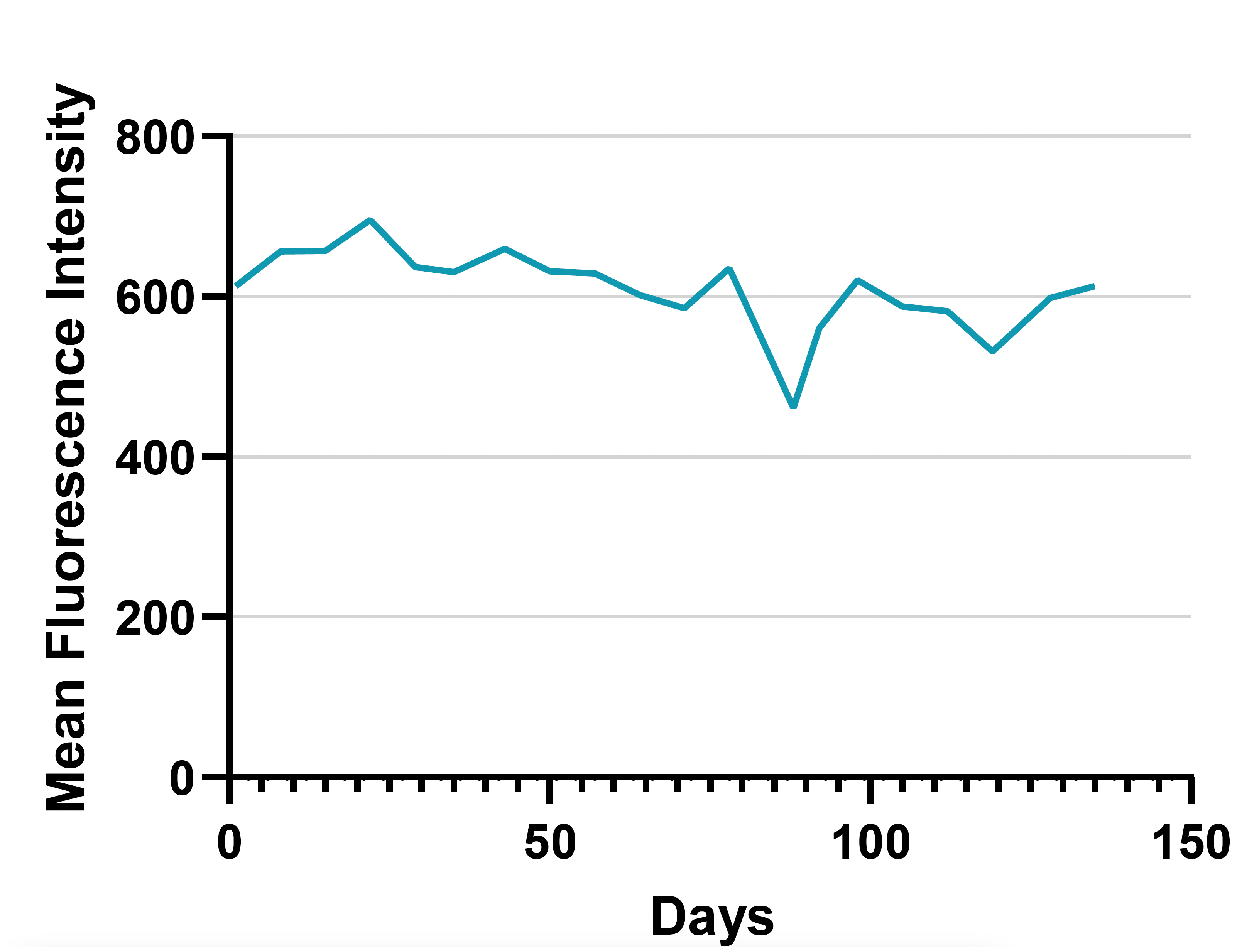 Line graph of mean fluorescence intensity over 150 days. Blue line shows stability of RFP expression over 135 days, mostly around 600.