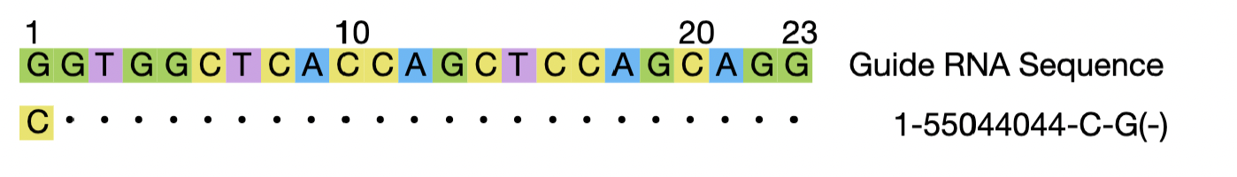 Variant analysis at the on-target loci revealed a high-frequency variant (AF = 16.7%) for the PCSK9-2 guide. Image shows colored DNA code highlighting positions 1 (G), 10 (C), 20 (C) and 23 (G) and lists a guide RNA sequence: 1-55044044-C-G(-).