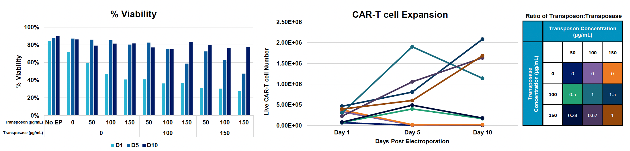 Three illustrations, right to left: (1) bar graph depicts cell viability at days 1, 5 and 10; (2) Line graph depicts CAR T cell expansion over same time period; (3) table shows ratio of transposon to transposase