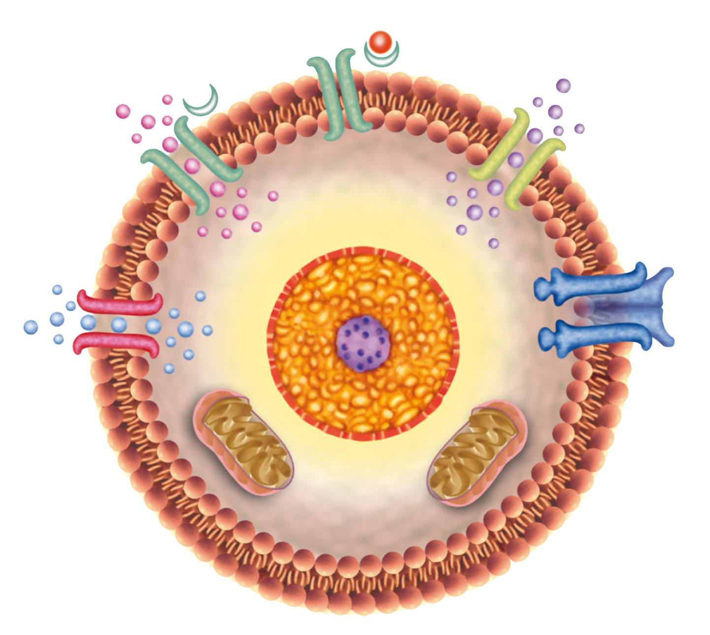 ion-channel-graphic