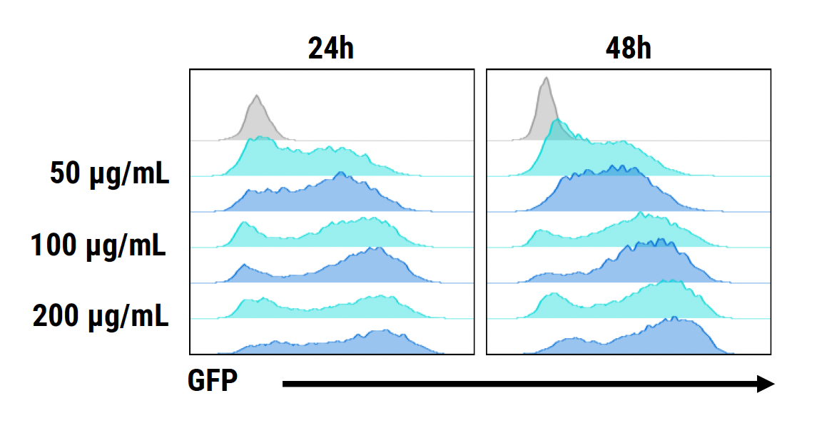 Flow cytometry histograms show​ same ​G​FP expression for three plasmid amounts at the two time points as Figure 1C.