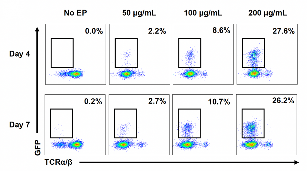 Eight heat maps illustrate the percentage of GFP-positive cells expressing TCRα/β under varying concentrations of a plasmid HDRT at two time points, with percentages increasing with higher concentrations of HDRT and thereby suggesting a dose-dependent effect on expression. 