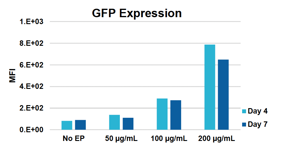 ​Bar graph illustrates​ increasing GFP expression, measured by MFI, ​a​s​ concentrations of​ plasmid HDRT increase, with slightly higher ​expression at earlier time point across all conditions.