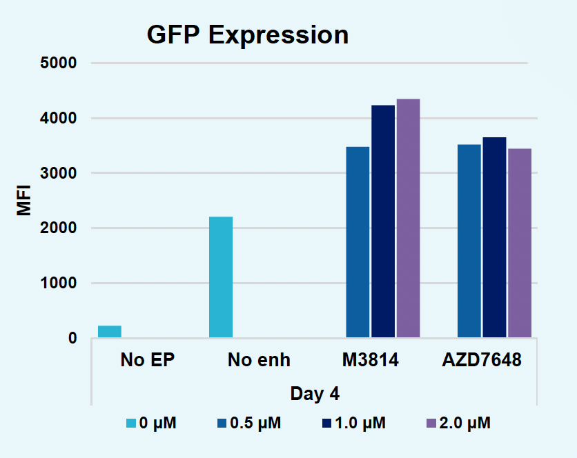 ​B​ar chart displays GFP expression ​v​ia MFI ​a​t one time point ​w​ith and without enhancers at different concentrations​; ​increasing enhancer concentration generally led to increased expansion compared to controls.