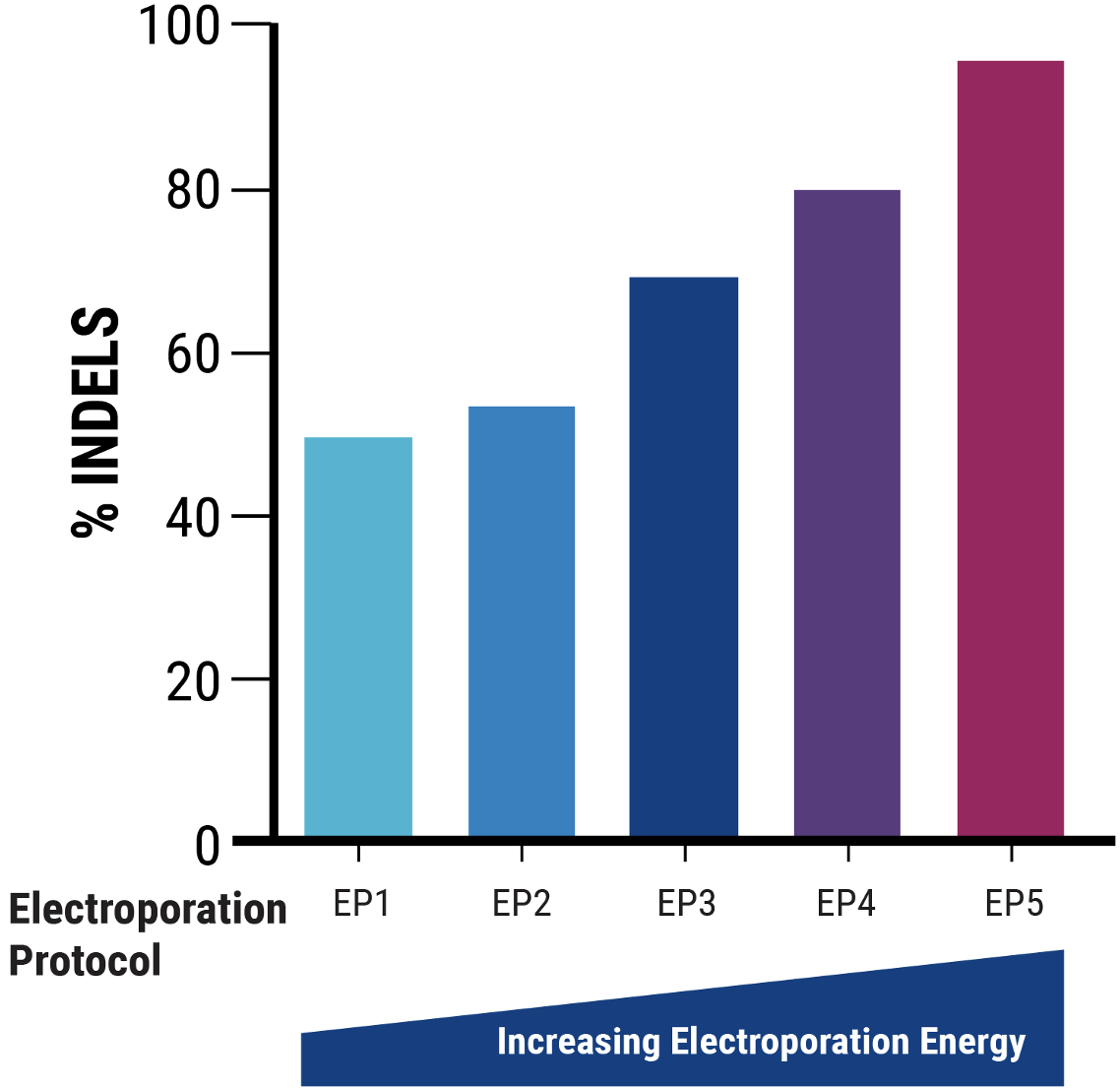 Figure 2B