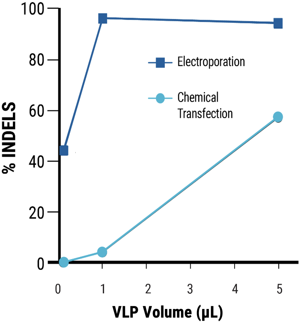 Adherent HEK293 cells were transfected with the optimized electroporation procedure (EP5) or chemical transfection