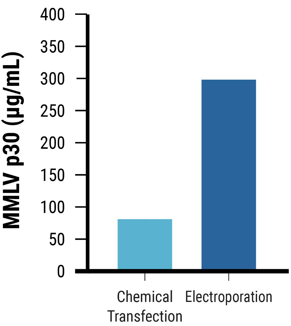 MMLV p30 ELISA demonstrated that electroporated cells produced ~4x higher MMLV p30 levels than chemically transfected cells