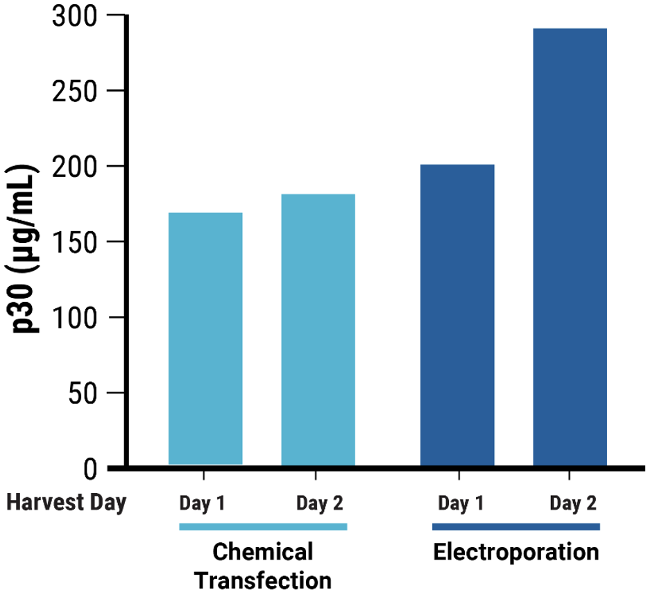 Figure 4C