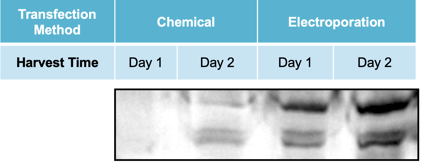 Figure 4D