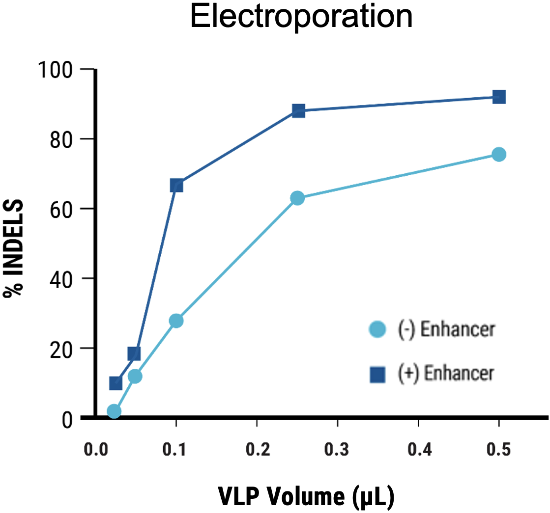 Figure 5B