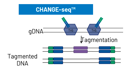 Poster-Screenshot-CSHL-V2